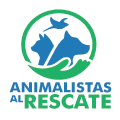 Logo Fundación 1